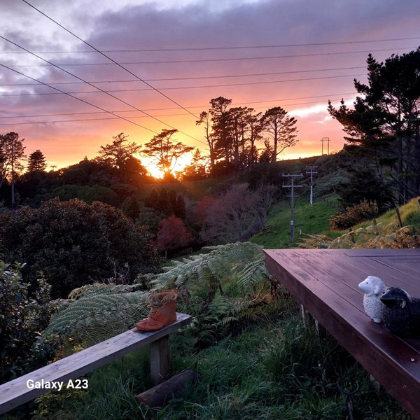 Cosy Country Cottage on a Sunny Hill, New Plymouth, New Zealand
