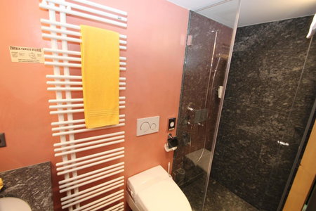 Hotel Gspan, Arosa, Switzerland