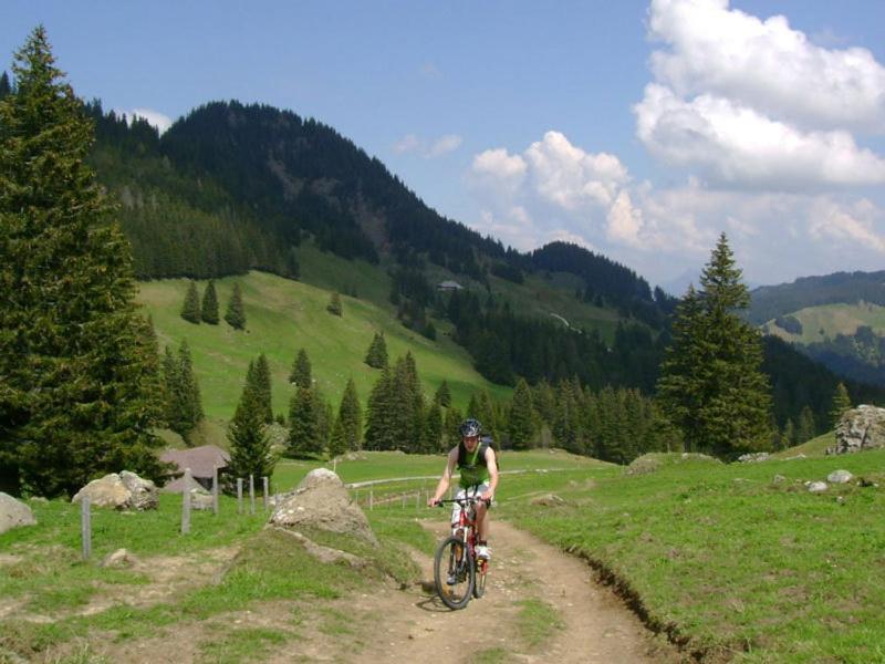Chalet Murmeli, Eigenthal, Switzerland
