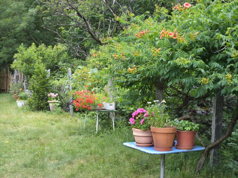 B&B Casa Codega, Bellinzona, Switzerland