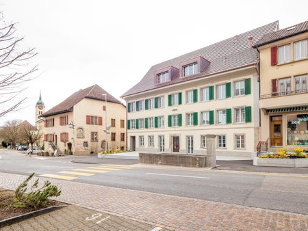 Aparthotel Bären, Seengen, Switzerland