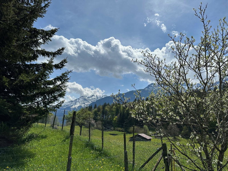 Chalet Brünig, Meiringen, Switzerland