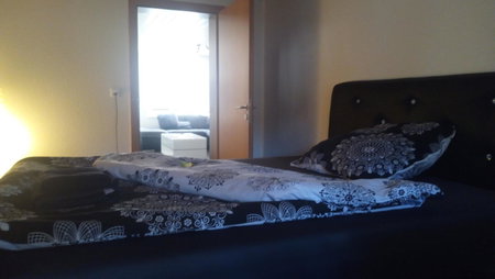 3 Doppelbett Business Apartment am Bodensee, Arbon, Switzerland