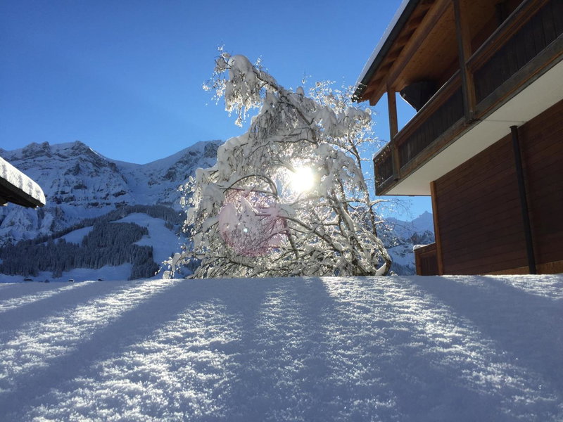 Hotel Steinmattli, Adelboden, Switzerland