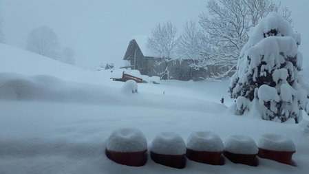 Snow+Surf B&B, Lauenen, Switzerland