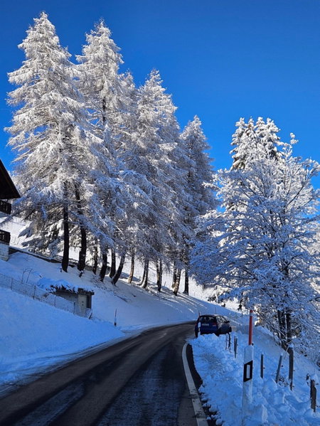 Sweet & Cosy Chalet in the heart of the Swiss Alps, Troistorrents, Switzerland