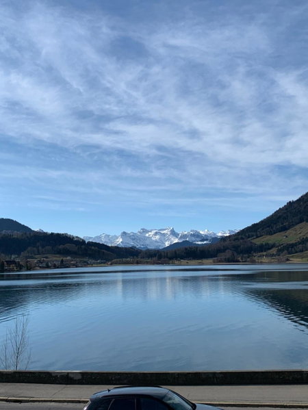 Hotel - Restaurant Eierhals am Ägerisee, Oberägeri, Suisse