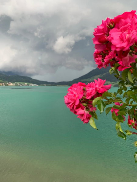 Hotel - Restaurant Eierhals am Ägerisee, Oberägeri, Suisse