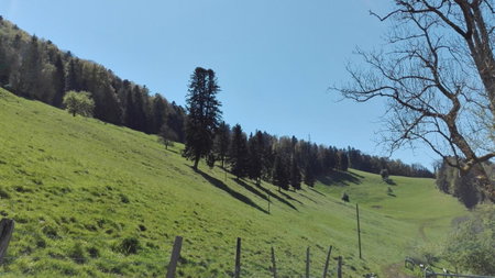 La Joux Chaupe, Saint-Ursanne, Suiza