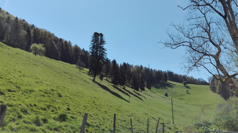 La Joux Chaupe, Saint-Ursanne, Suiza