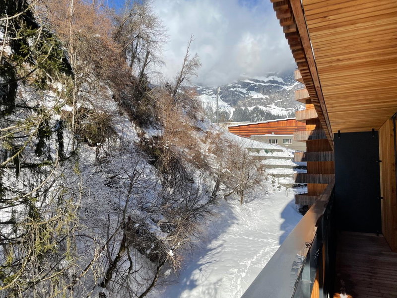 Selva Mountain Apartment, Flims, Switzerland