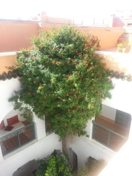 Dar El Kharaz, Marrakech, Morocco