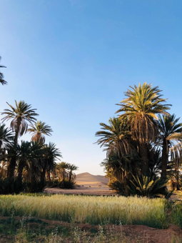 Camp Auberge Sahara Marokko, Mhamid, Morocco