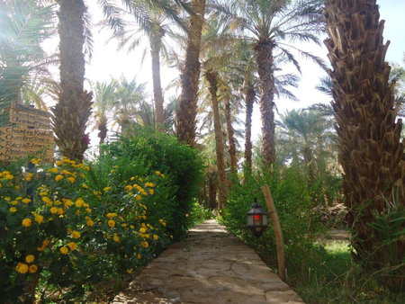 Riad Tagmadarte Ferme d'Hôte, Zagora, Morocco