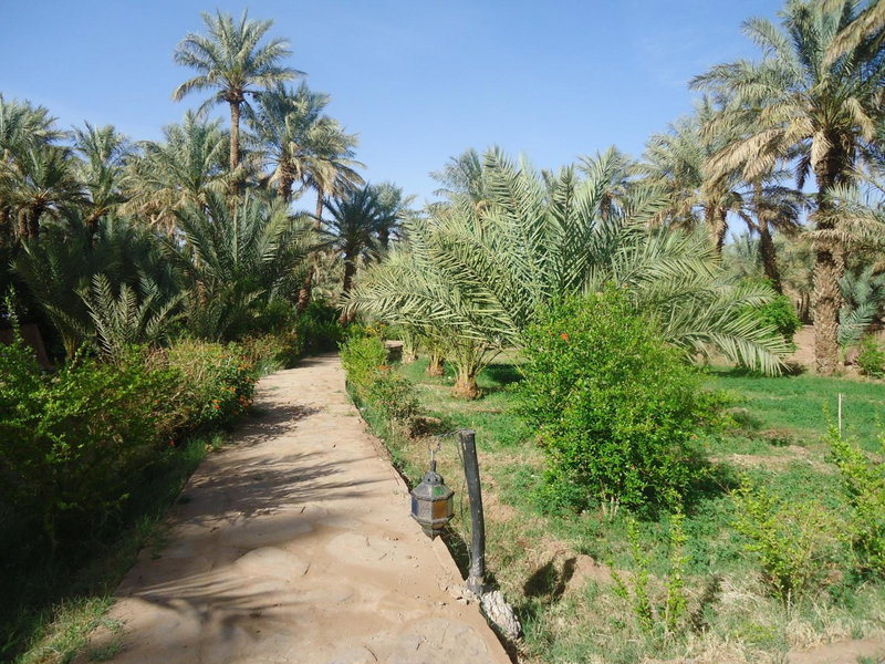 Riad Tagmadarte Ferme d'Hôte, Zagora, Morocco