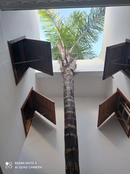 Riad Dar Badiaa, Sale, Morocco