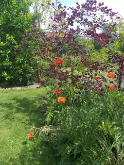 B&B Le Perchoir, Libin, Belgium