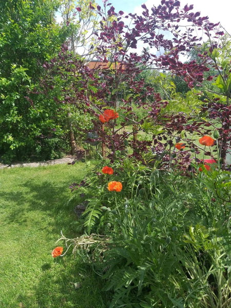 B&B Le Perchoir, Libin, Belgium