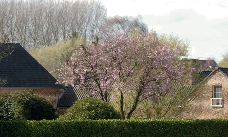 De Rankhove, Herne, Belgium
