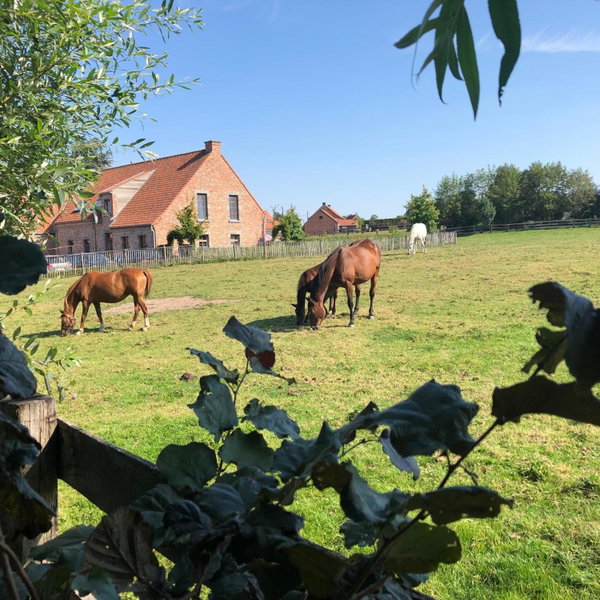 Au Coeur des Collines, Gloriette, Ellezelles, Belgium