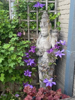 Hasselt City Garden Duplex, Hasselt, Belgium
