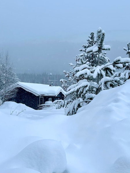 Nymon Mountain Lodge, Stöten, Sweden