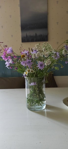 Sunnemoslantliv B&B, Sunnemo, Sweden