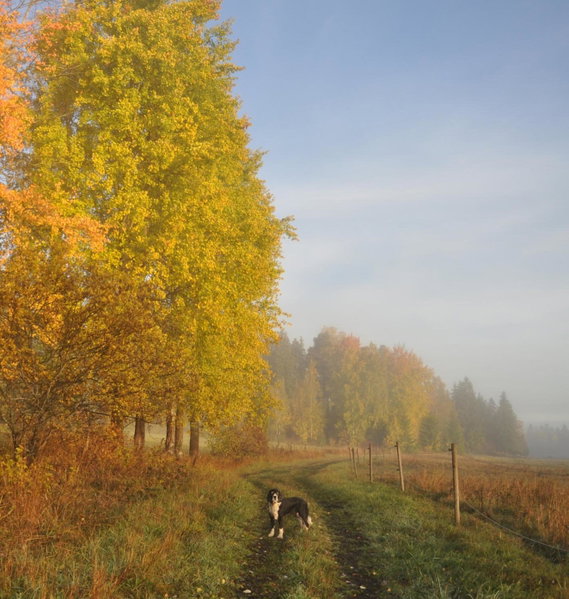 Brännkärrstorpet B&B, Knivsta, Sweden