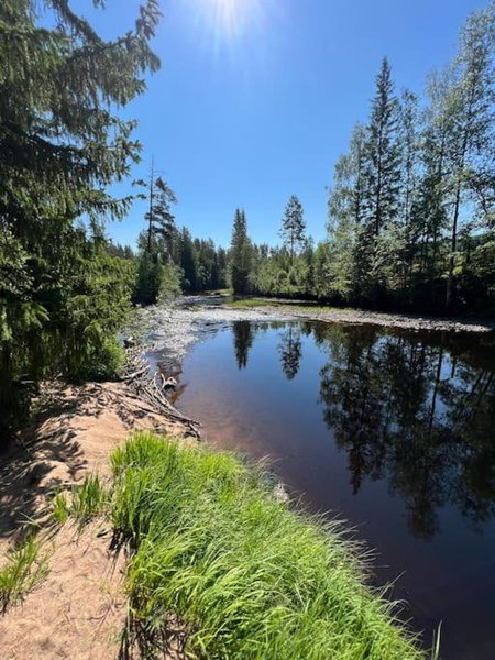 Skogly - Ny stor hytte, Unike Finnskogen, Torsby, Sweden