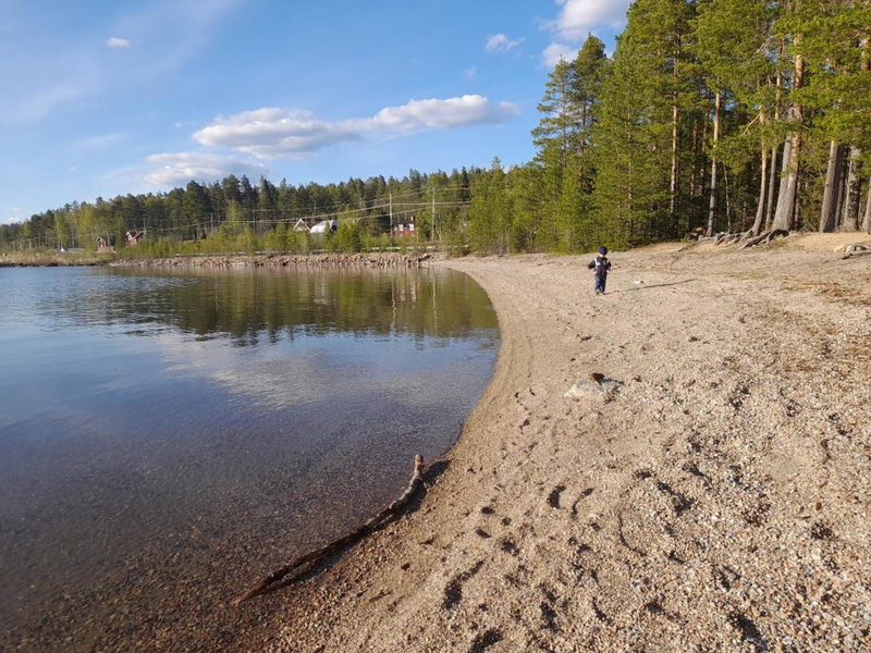 Cheerful 1-bedroom, 120 m from Sandbach, Bräcke, Sweden
