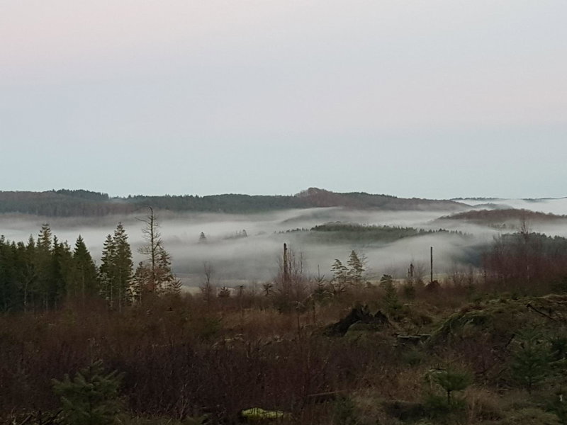 Flähult Ullared, Ullared, Sweden