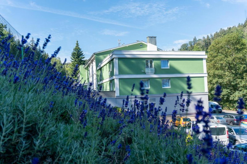 Wellness Hotel GREEN PARADISE, Březová, Czechia