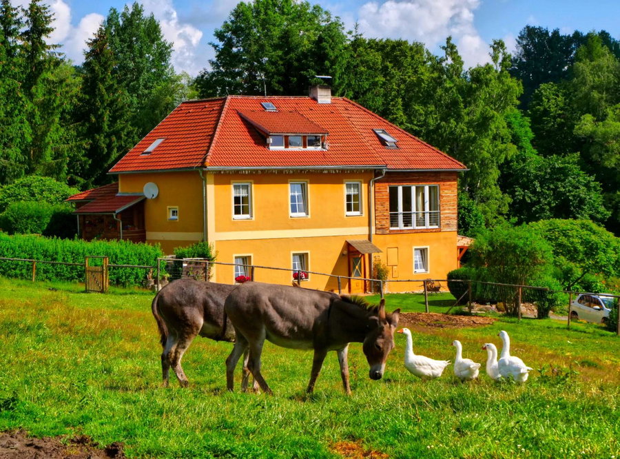 Chalupa Jenín, Dolní Dvořiště, Czechia
