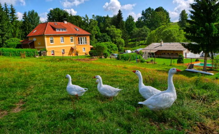 Chalupa Jenín, Dolní Dvořiště, Czechia