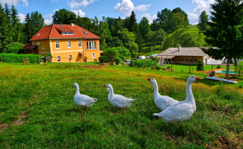 Chalupa Jenín, Dolní Dvořiště, Czechia