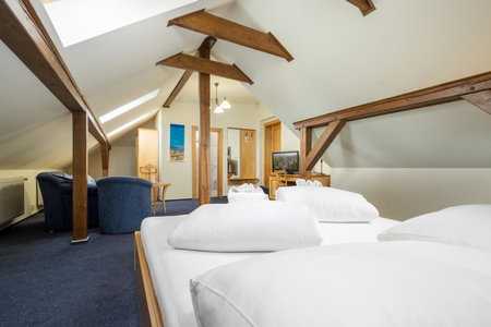 Hotel Zlaty Lev, Jablonec nad Nisou, Чехия