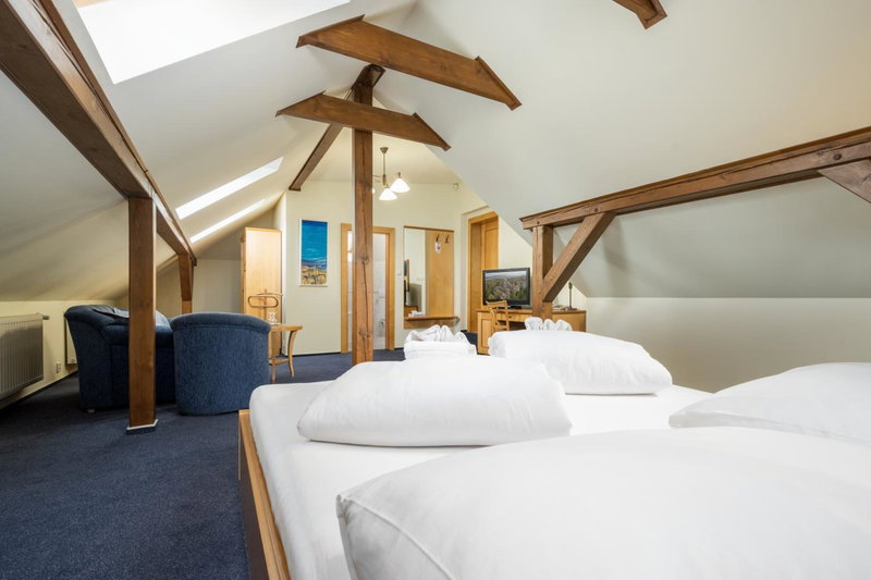 Hotel Zlaty Lev, Jablonec nad Nisou, Чехия