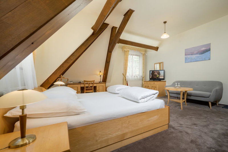 Hotel Zlaty Lev, Jablonec nad Nisou, Чехия