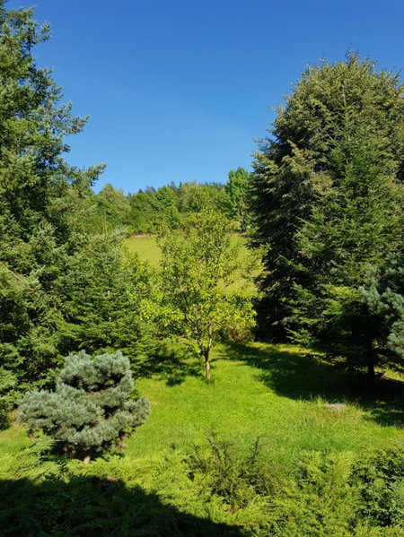 Chalupa pod strání, Telecí, Czechia