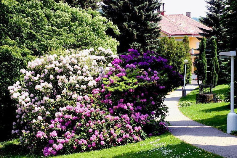 Spa Resort Libverda - Hotel Nový Dům, Lázně Libverda, República Checa