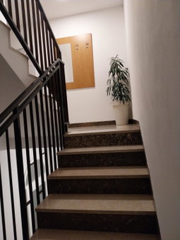 Apartments Rose Loboja, Makarska, Croatia