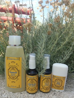 Banin, Skradin, Croatie