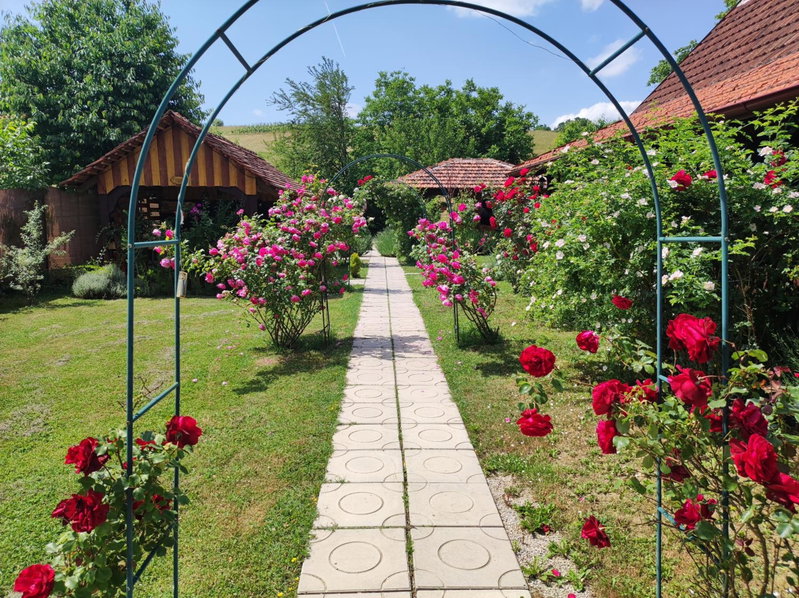 Pod orehom drvena kuća i sauna, Krapina, Хорватия