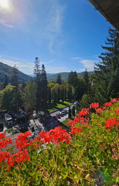 Laura Apartments Sinaia, Sinaia, Romania