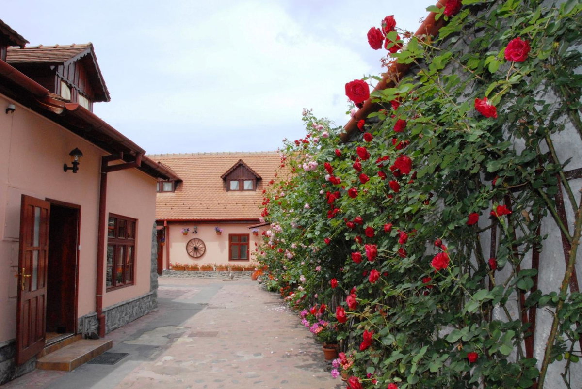 Pension Ela, Romania