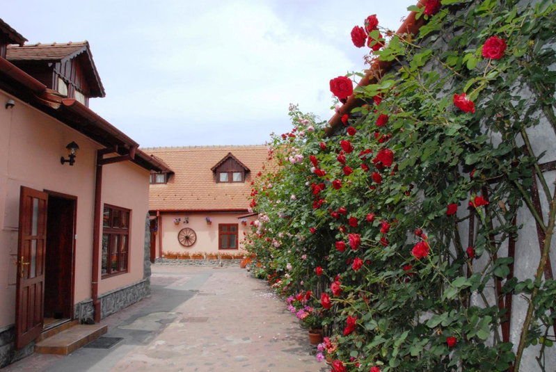 Pension Ela, Sibiu, Romania