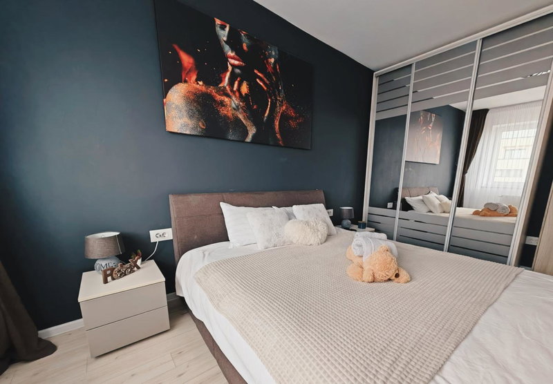 Luxurious Landing Apartment, Braşov, Romania