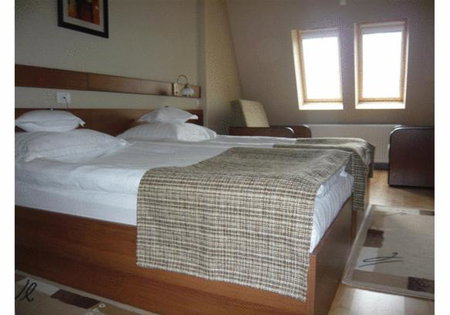 Hotel Crisana Arad, Arad, Romania