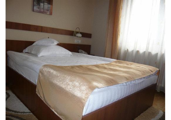 Hotel Crisana Arad, Arad, Romania