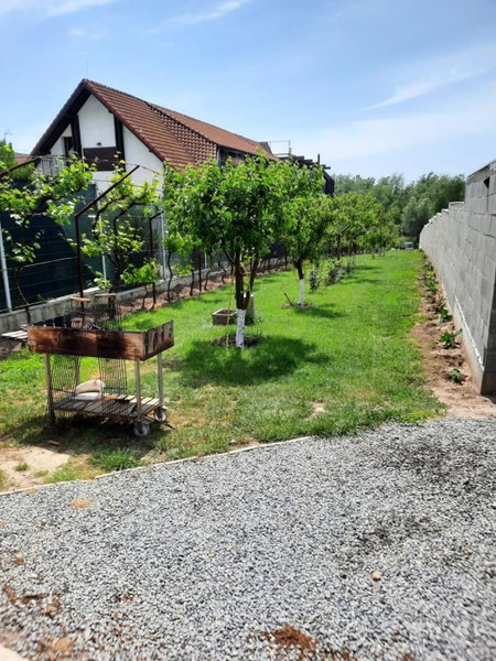 Cabanele Deltei, Dunavăţu de Jos, Romania